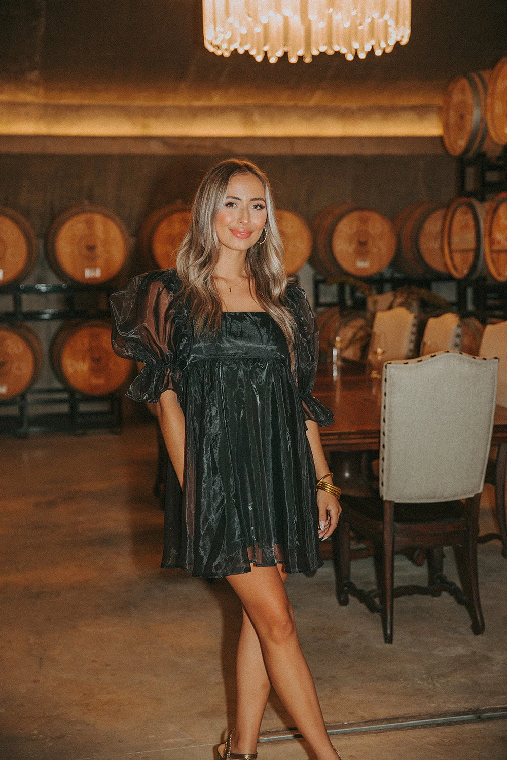 BuddyLove Betsy Puff Sleeve Babydoll Dress - Raven 3 BuddyLove Betsy Puff Sleeve Babydoll Dress - Raven