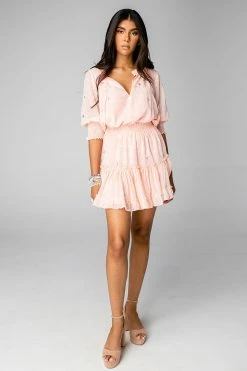 BuddyLove Bronx Elastic Waist Mini Dress - Ballet Slipper -US Skirt Sales Store CG3848BronxBalletSlipperFrontFull