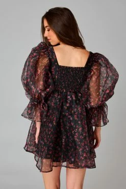 BuddyLove Betsy Puff Sleeve Babydoll Dress - Floral Fantasy -US Skirt Sales Store CG4923BetsyFloralFantasyBack