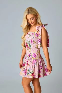 BuddyLove Flirtini Drop Waist Mini Dress - Blushing -US Skirt Sales Store CG5237FlirtiniBlushingSIde